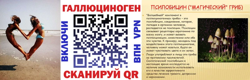 Псилоцибиновые грибы Psilocybe  Горнозаводск 